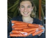 OHAKUNE CARROTS  2KG Bag